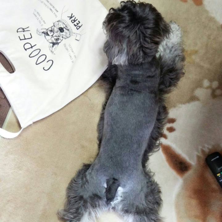 0318bc4c 1d3c 4d0c 85f8 c7ba220a4d04