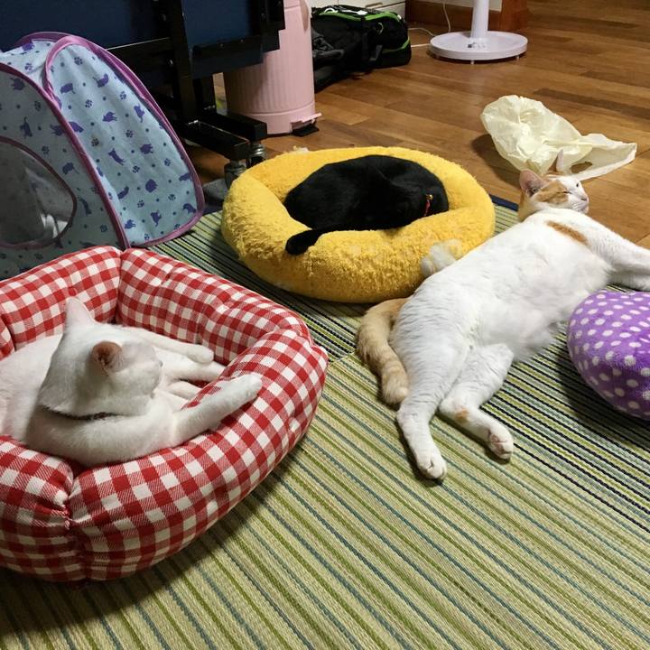 031992bc 09fd 4ddc b7d3 134194a7bc2d