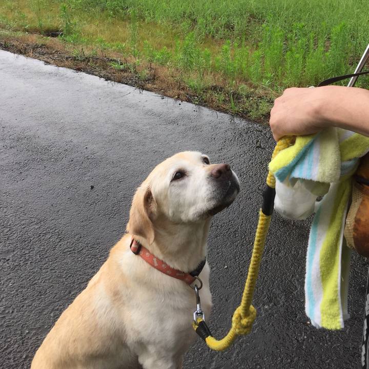 031a5738 6aec 44d8 9c76 27d3c31f09ec