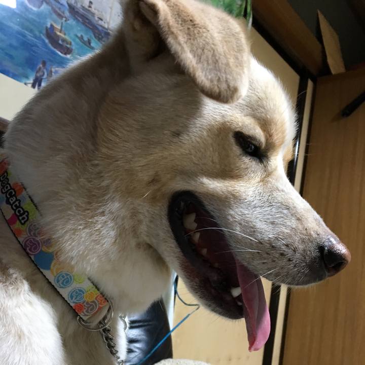 031ad34b ea2b 4139 adb7 708252474f78