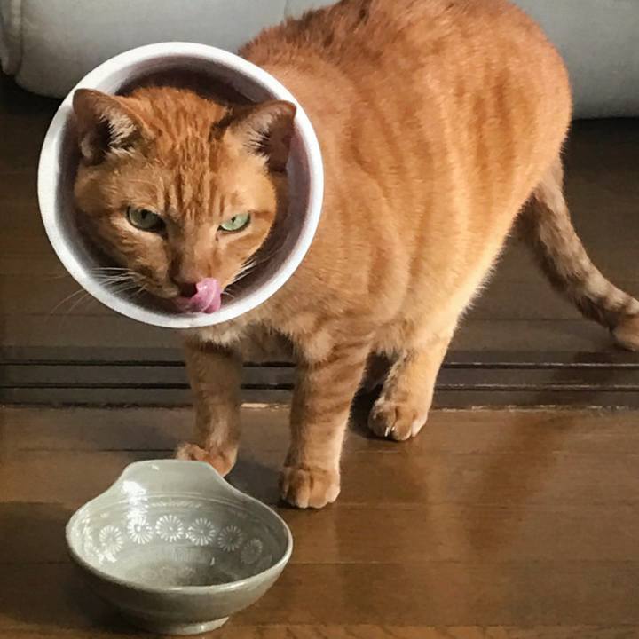 031b5567 9673 421c a308 a6c37de4f26b