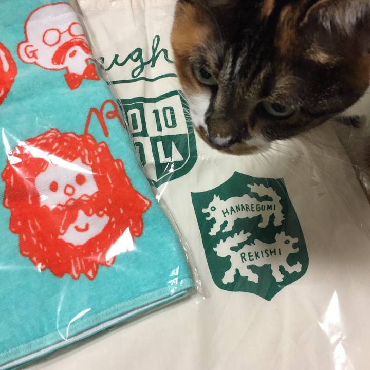 031d2904 038e 4771 8cf5 ade1b44ab653