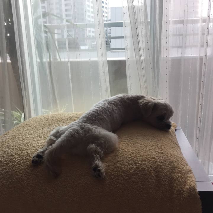 031d3459 c24f 40e1 8d13 4f333774363f