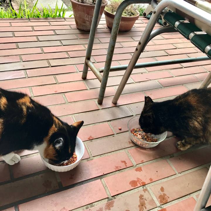 031d58ba 29fe 4135 9de5 4715e91966a4