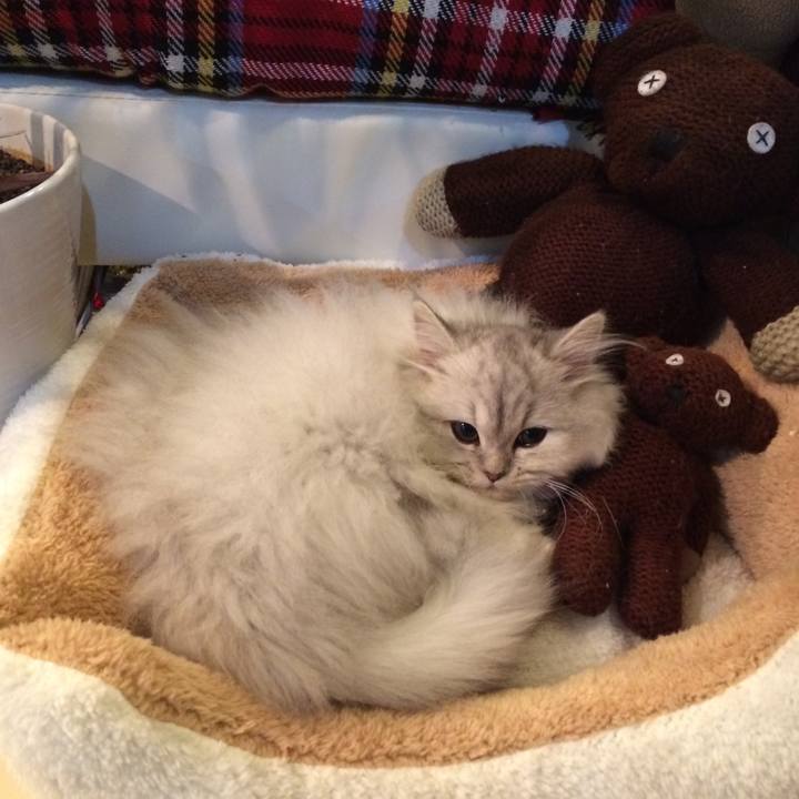 031d6bf3 fa8c 43d1 9032 edcf407a53e9