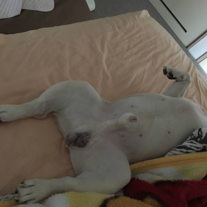 031d7a5d a7b8 4e92 a3a7 394da9dce815