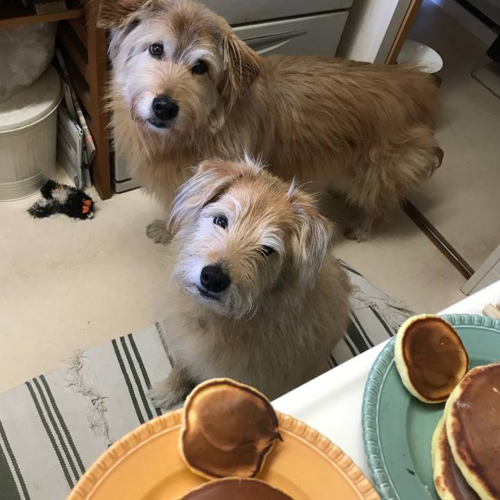 031ddd1b 4f7a 428b 840d 6dae6a23d702