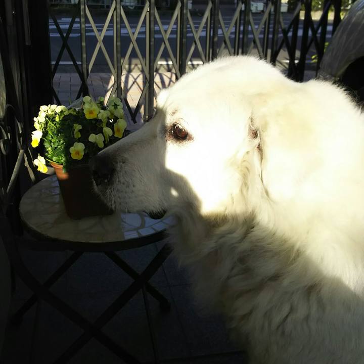 031e9182 b800 4eaf 86d4 7d94c9458e04