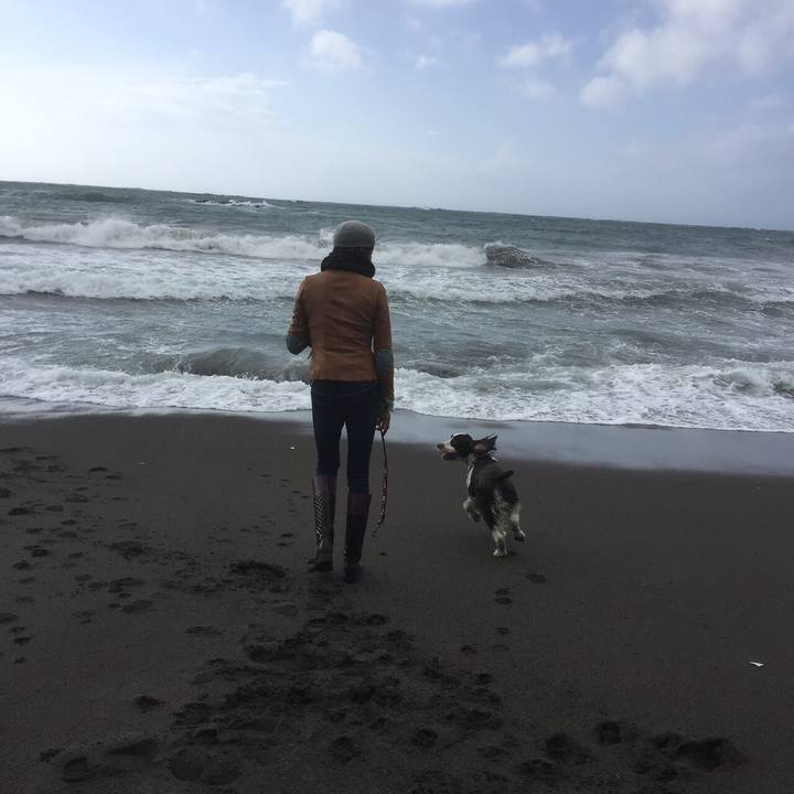 031ea647 3bf6 4efc 99e3 ebc9fd3406cc