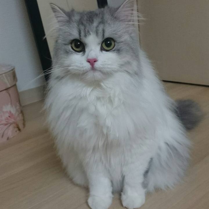 031ebb97 4e1b 43a6 8933 be26b9afcf38