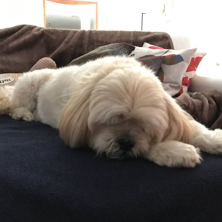 031f0b4b 7515 43ad 9736 f3101b67c61f