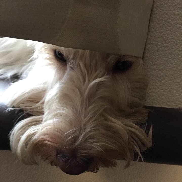 031f5dfa 5f3e 4586 8aec 37cd671b5590