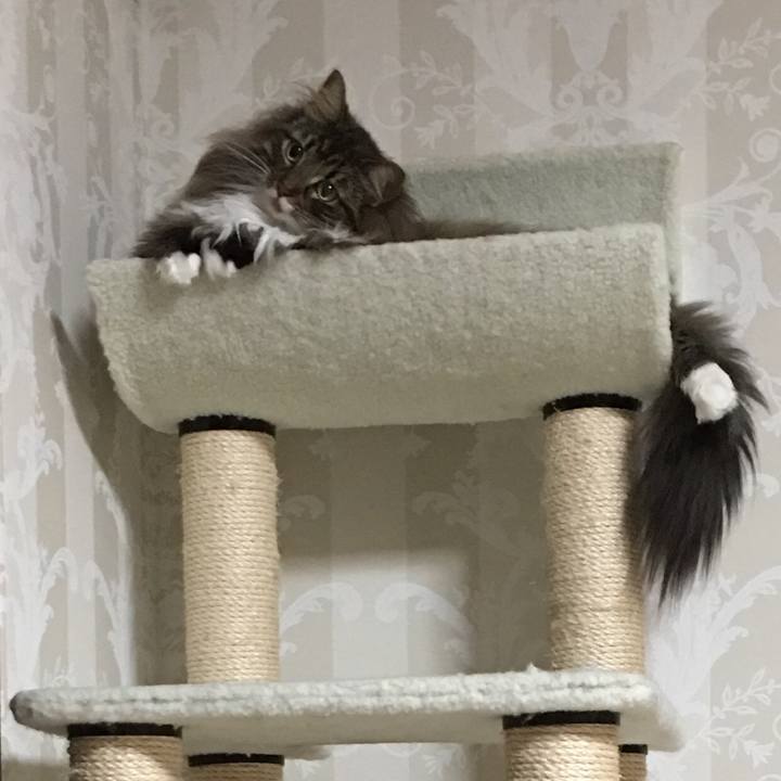 031f78c7 490f 4c2b 909f a9f06d7c997b