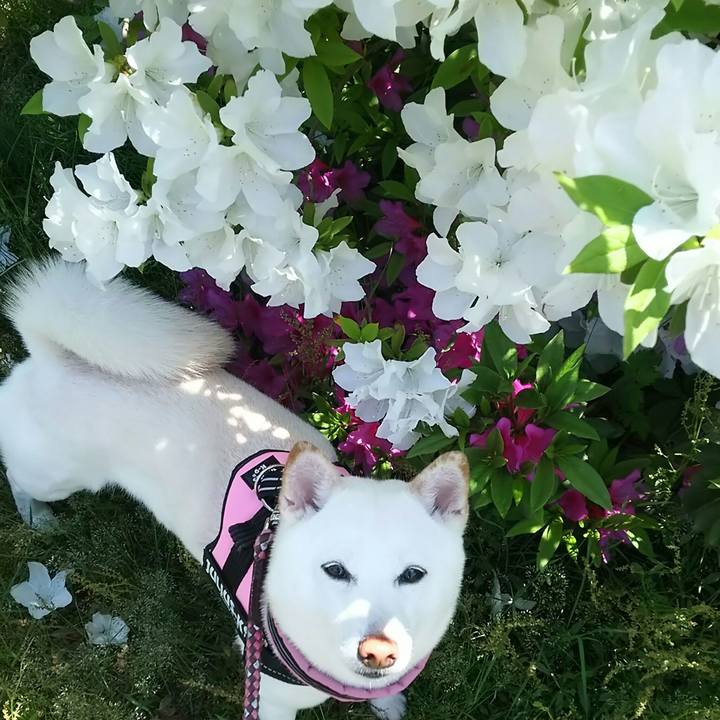 031fb962 c41a 44c2 9aec e73529f51b44