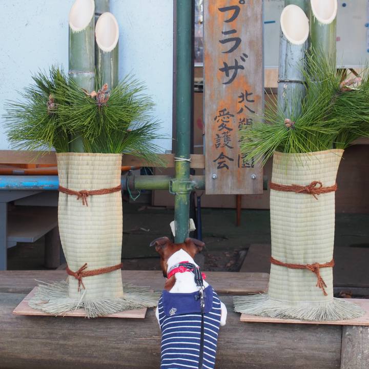 031fea90 f570 4bd7 8450 072e6e9837a5