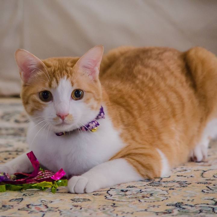 032025d9 0466 41b4 bcf5 9c5b7825e3e3