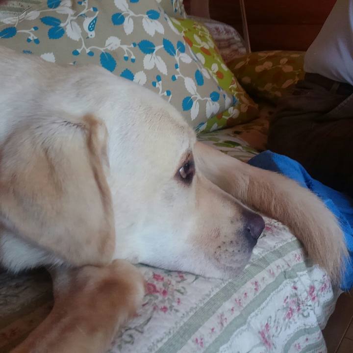 03205323 854b 4ebb 854e 5c63850207c9