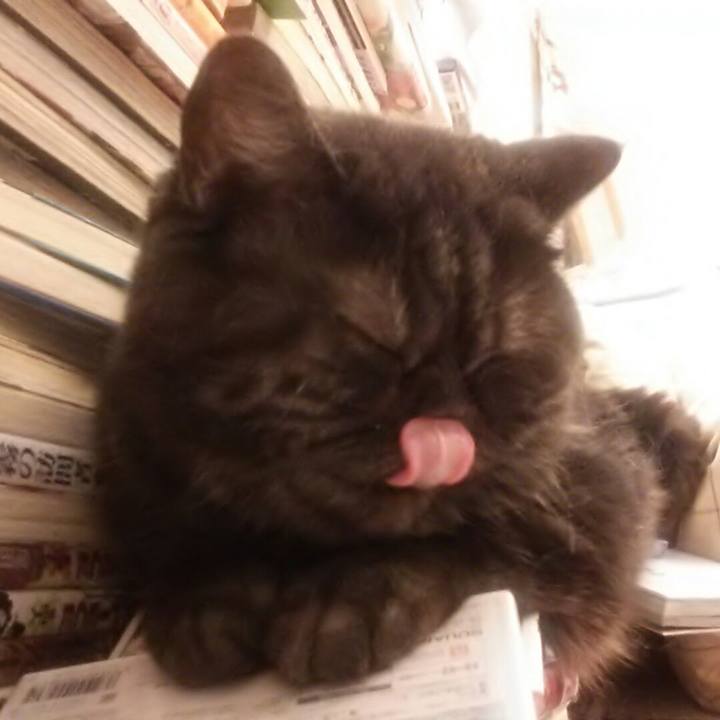 0320b1c5 439f 4f53 9ddd 19f0d33a332c