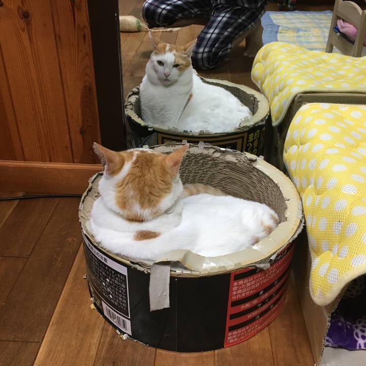 0321b9cd b482 42a8 9cb0 4ab810ab6dd2