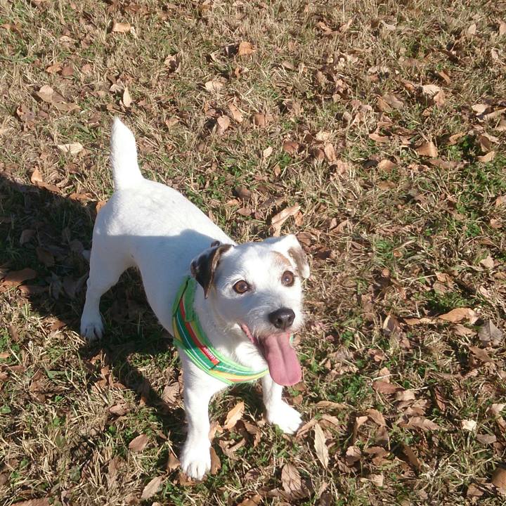 0322570a 1b61 4009 8759 c42c9a6dff0e