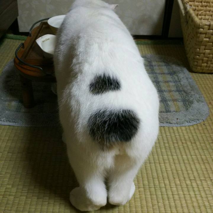 03229bab 97bc 4a42 85e3 dd4c95809d3e