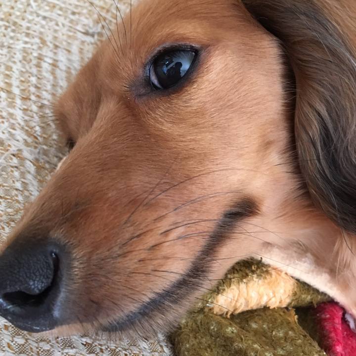 0322d5c3 d6b5 4d96 a596 414411e34b55