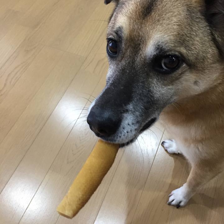 03234d0f 2fd4 4333 b163 c56426d7a436