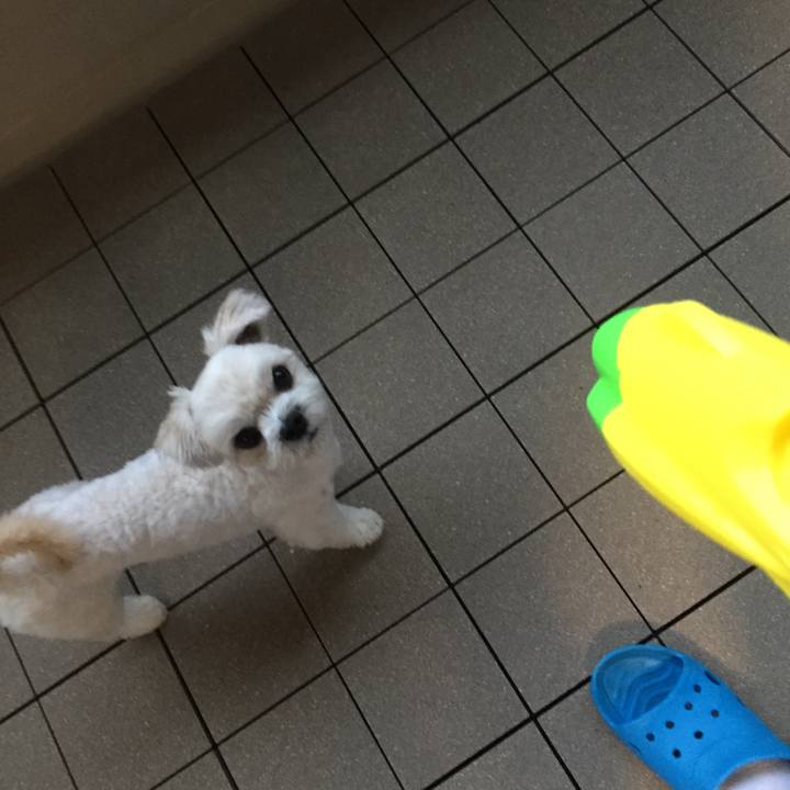 03235c20 fb42 4bcf 81e6 a2d84633ea50