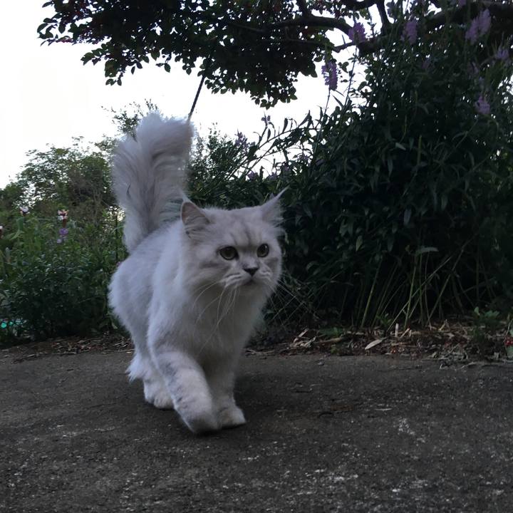 0323e5bf 8368 4c47 b45d 66a8271d3413