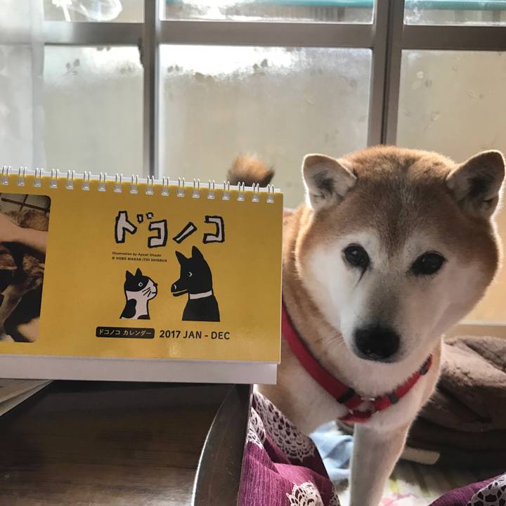 0323f928 cd2f 4e68 80f6 29f5d32072b8