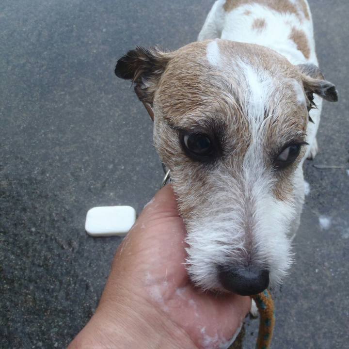 032425a2 08f9 4918 ba26 37d703f42b83