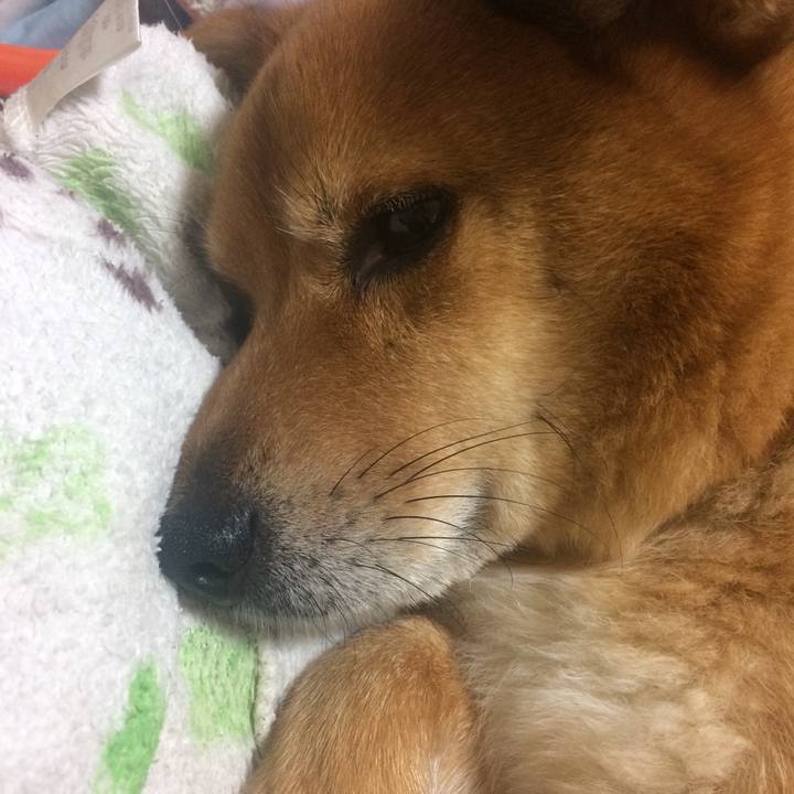 03242712 4d8f 4b91 bb5c 4c3b794ca87c