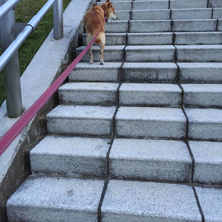 03242a6f 3f7c 4f92 8bba 3dcc8e01f004