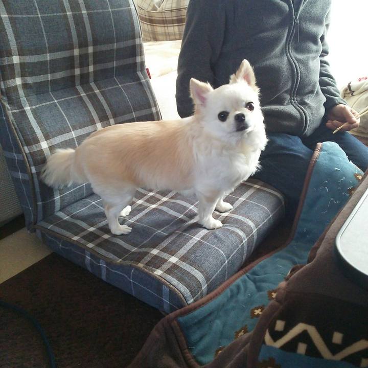 0324573b 6558 46ac 870b a6900154d6fe