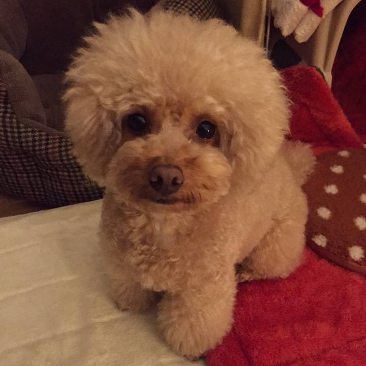 0324afad ed87 49dd 9b96 e8ec7ba24dca