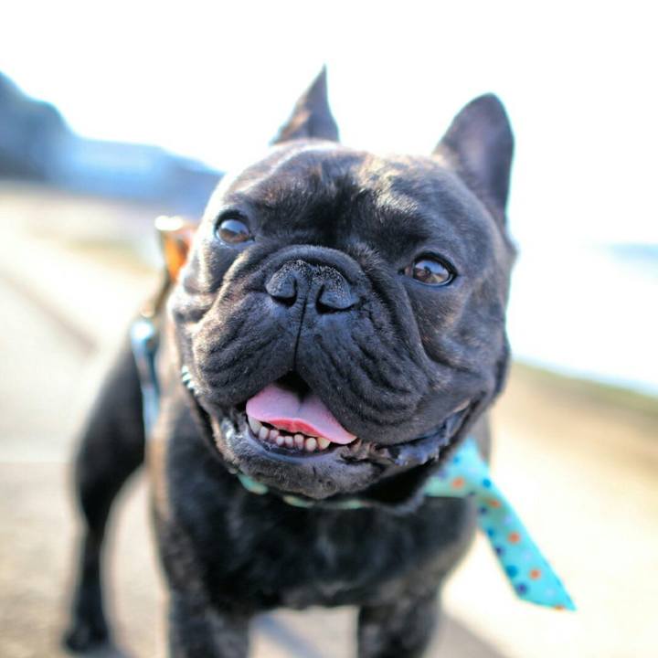 0325c46a 8875 4d45 a45c 98034630cf06