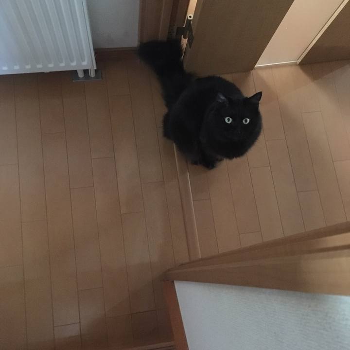 0325d232 a7bb 4b73 9da1 7c7b87878142