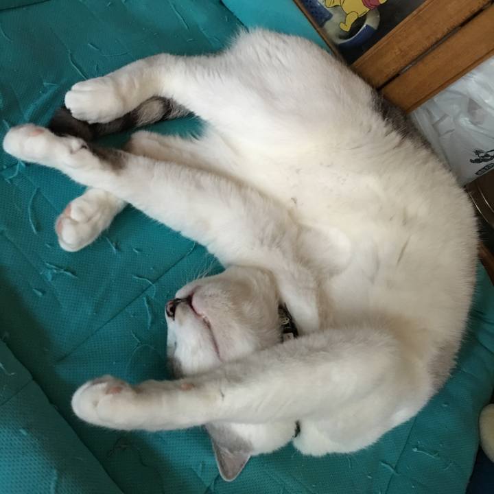 0326f139 e187 457c b63e 83b0513269d6