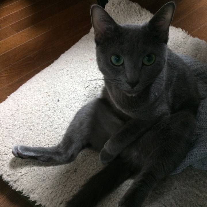 032746e0 8707 4a1c 963b 9aff4aac9308