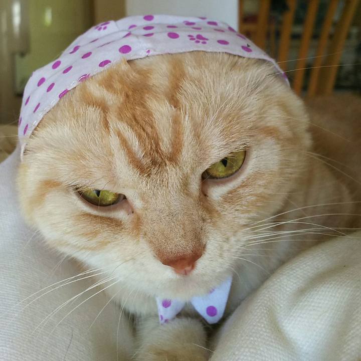 0327a9c2 5da3 464b b5d7 eb0ae50e8522