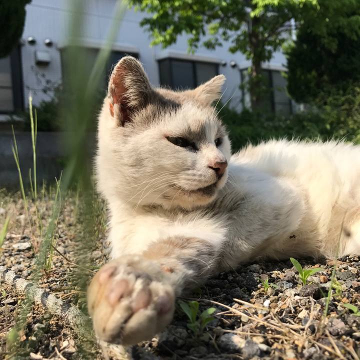 0327d309 713e 444a 8960 d79bc4f90d0d