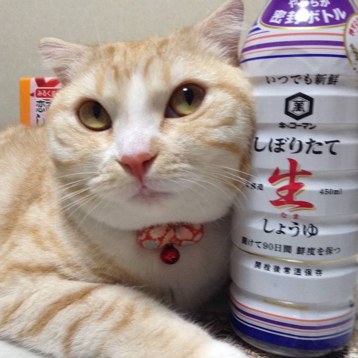 0328000e 67eb 461b a15b ff0e885d5d5b