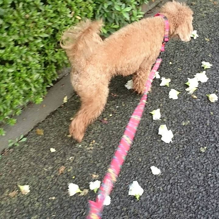 03281700 384e 4f37 8271 82d014edef24