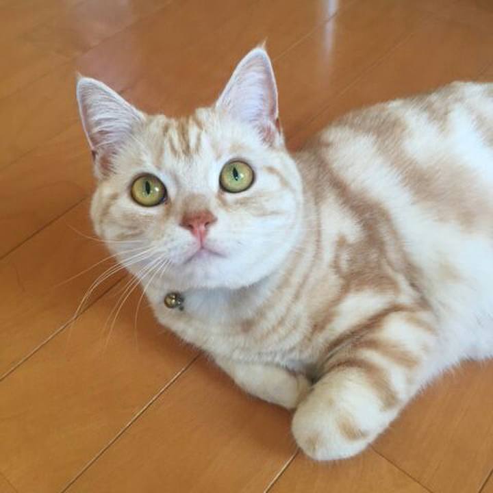 0329f437 3aaa 4be1 97f9 20f62b032bd1