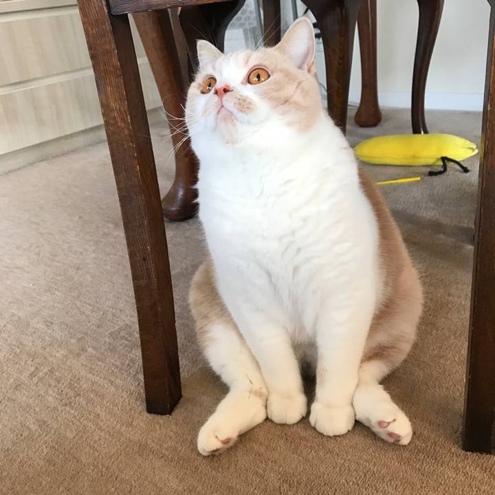 032ae6ee 688a 4de3 9757 08d98e990b37