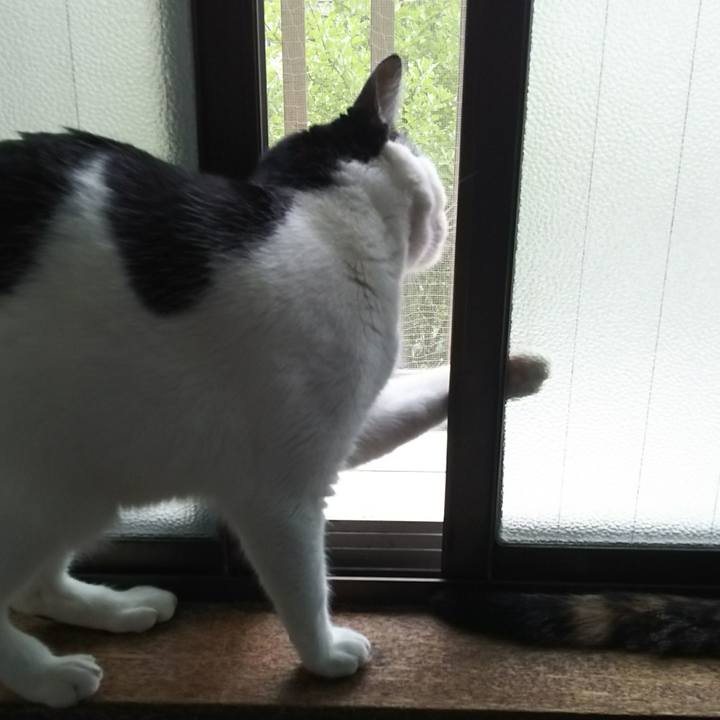 032b012a b0b0 46d8 ae42 9624f2b3d6c2