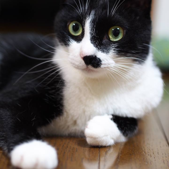 032c0c89 619d 4f2a 8e51 5164f8e78c18