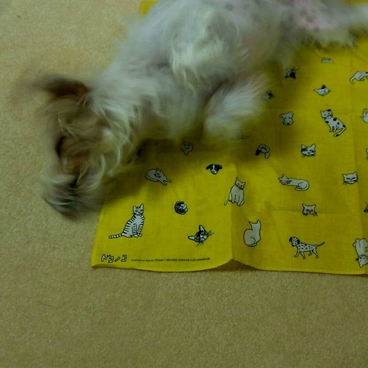 032c4248 11e2 4312 99e0 4ee5b7c5bbb3