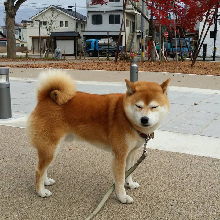 032cfb8d 2b72 46f7 b1cb 240de2a4016a