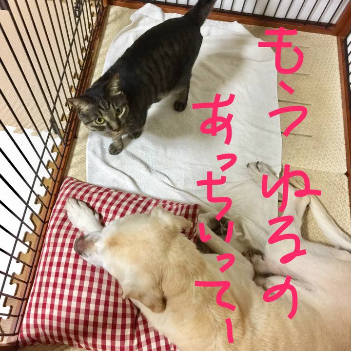 032f0341 6897 4d19 a02e b66f27aca11e